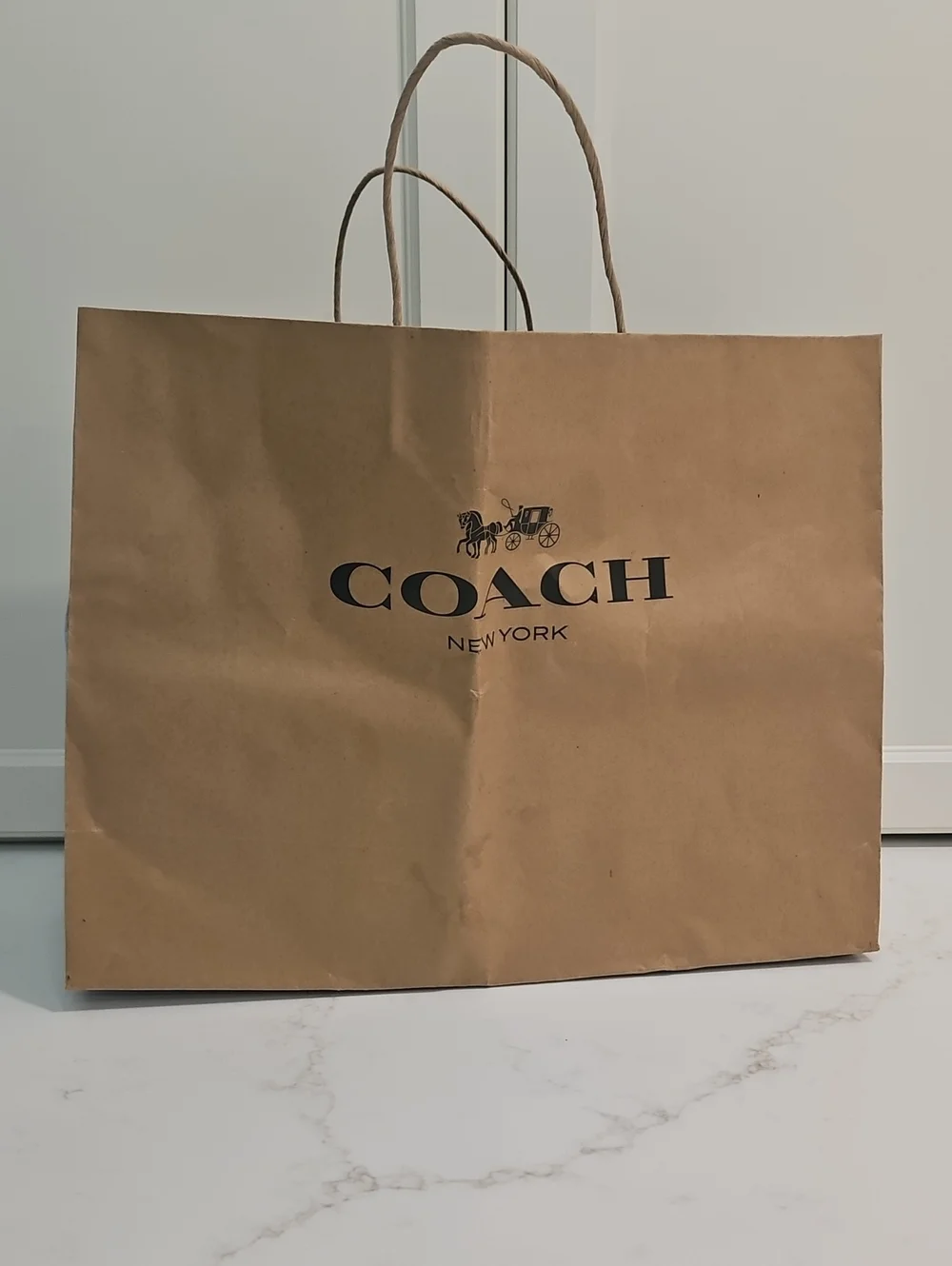 Coach Paper Bag Retail Gift Unisex